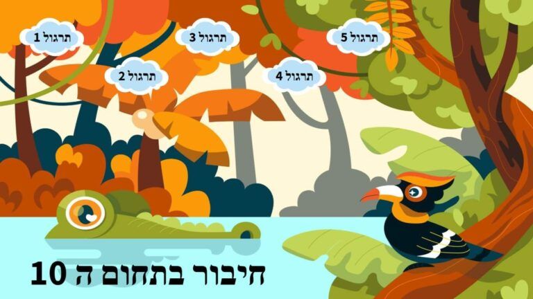 חיבור תחום 10