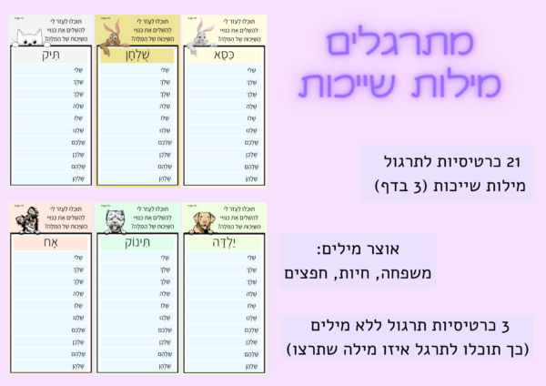 כינויי שייכות