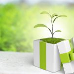 Eco Gifts concept